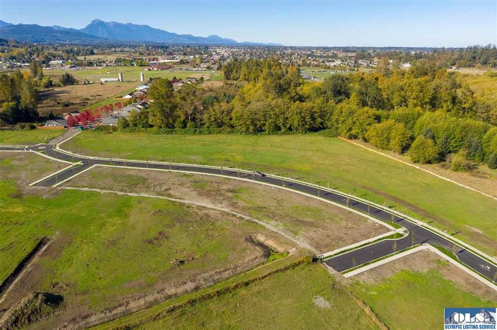 0 Broadmoor St, Sequim, WA 98382 - photo 1