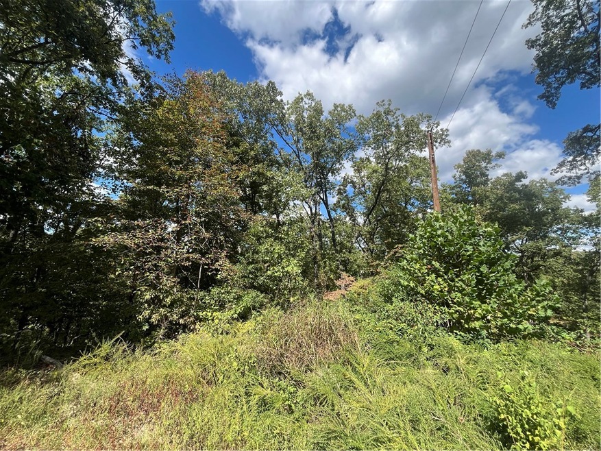 0 Carew Dr unit 1286136, Bella Vista, AR 72714 - photo 1