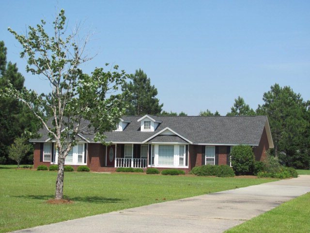 Main View