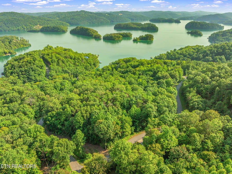 1-web-or-mls-Lakeview Drive Land-30