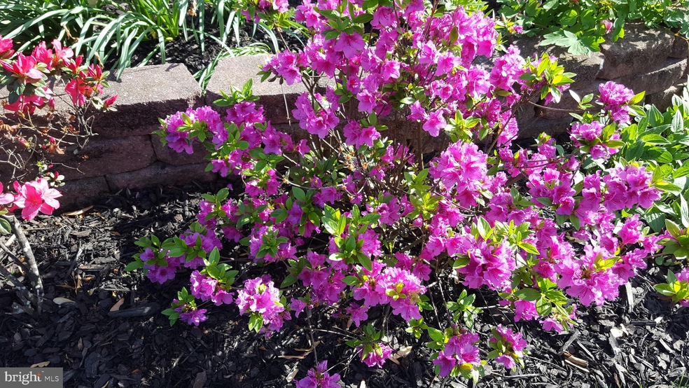 3341 Sudlersville S, Laurel, MD 20724 - photo 1