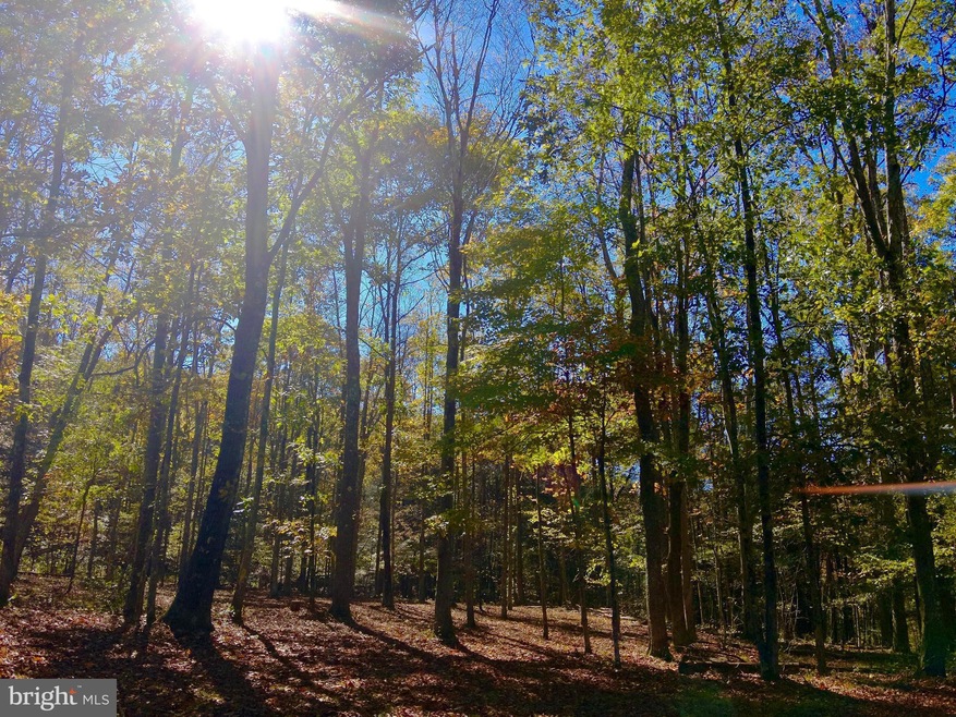 Lot 30 Wild Flower Way, Albright, WV 26519 - photo 1