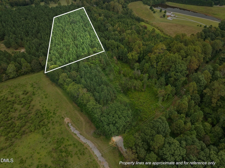 Lot 2 Wolf Tree Way, Efland, NC 27243 - photo 1