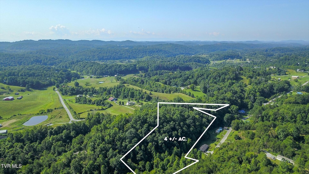 Tbd Oak Glen Cir, Fall Branch, TN 37656 - photo 1