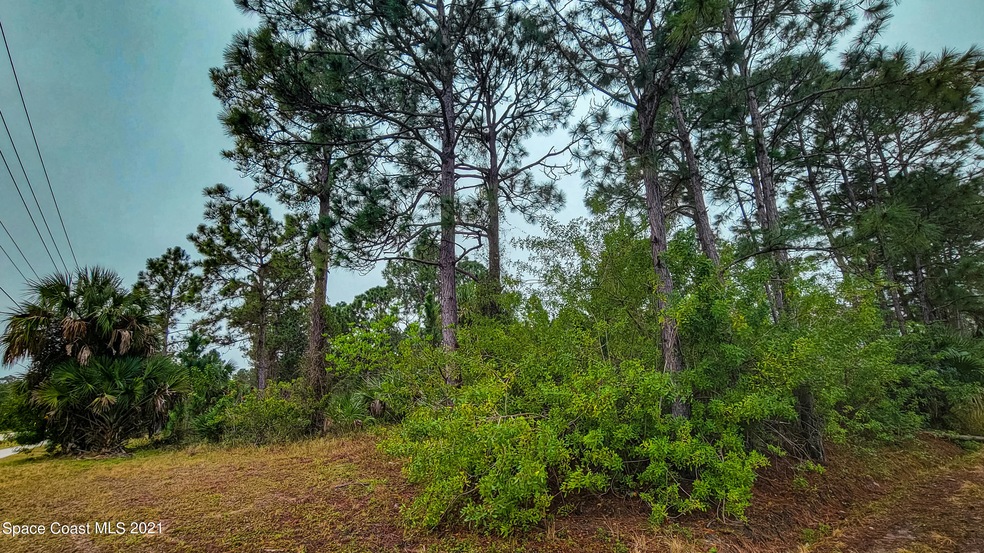 Land view 1