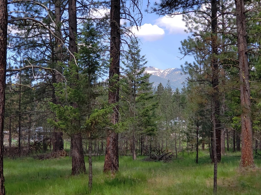 Nkn Us Highway 2, Libby, MT 59923 - photo 1