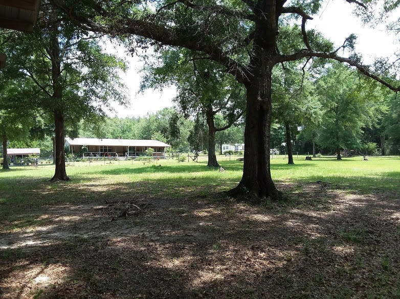 Poverty Creek 6