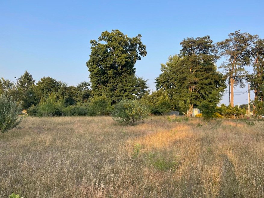 V/L E Parkdale Ave, Manistee Township, MI 49660 - photo 1