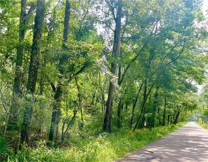 TBD 2 Lavigne Rd, Ponchatoula, LA 70454 - photo 1