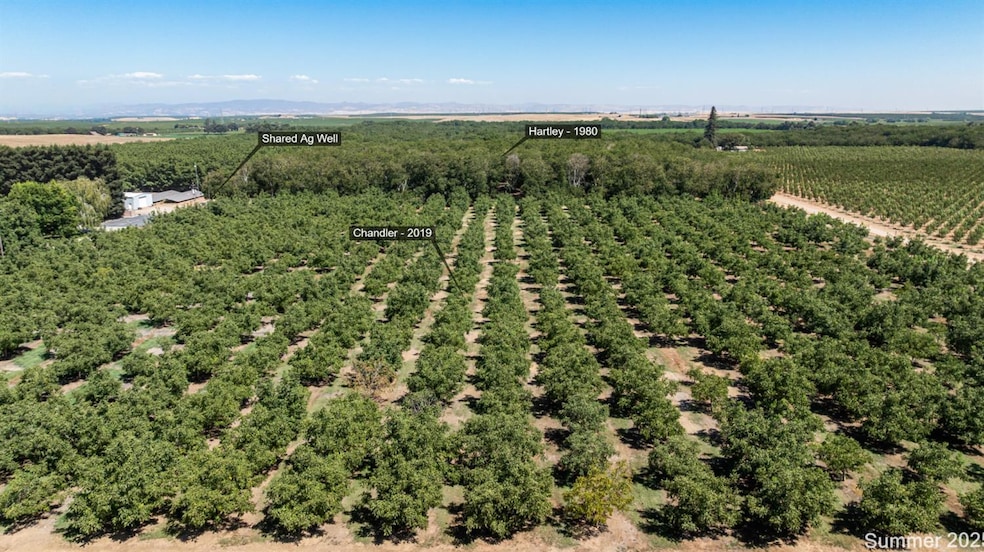 5210 N Fine Rd, Linden, CA 95236 - photo 1