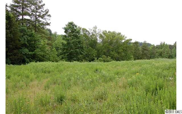 Lot 2 Appaloosa Trail, Iron Station, NC 28080 - photo 1