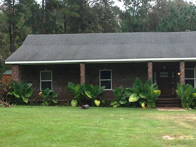 Main View