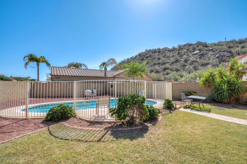 Backyard-Pool