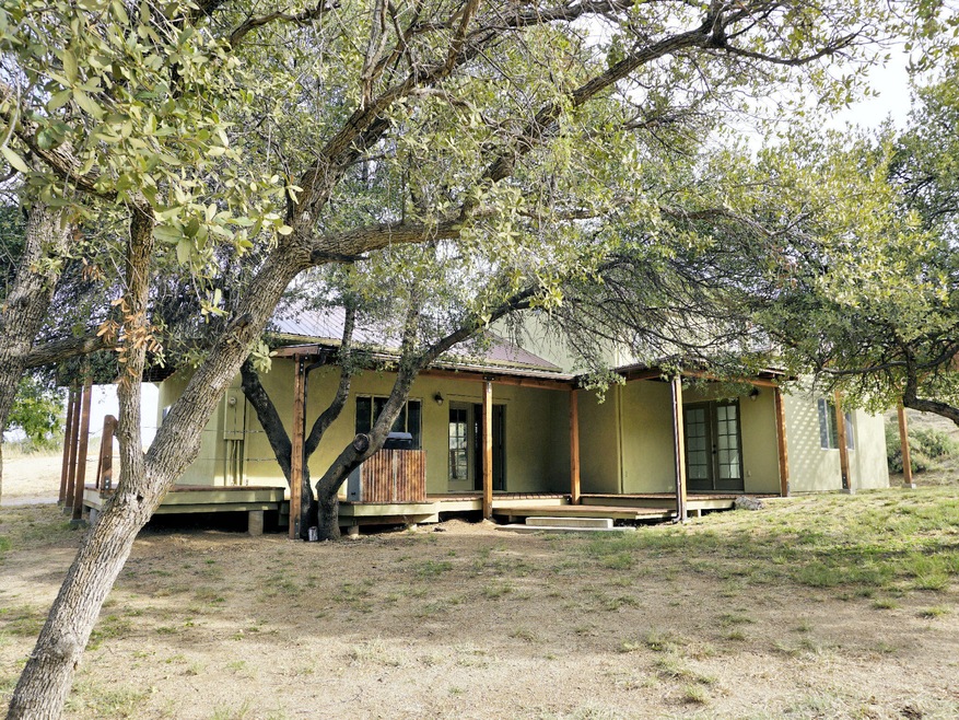 Front of house -trees