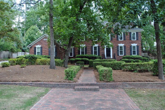 Main View