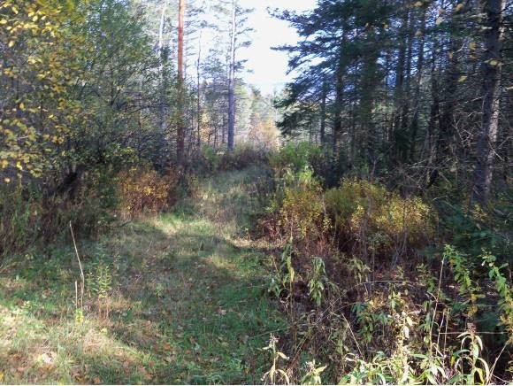 0 Meadowbrook Rd unit 4043813, Jefferson, NH 03583 - photo 1