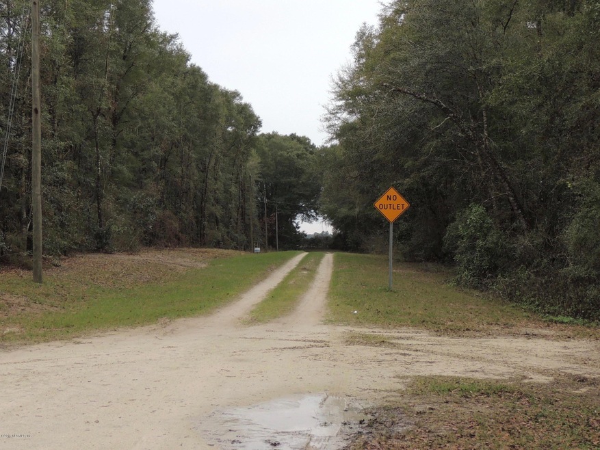 4374 290th Terrace, Branford, FL 32008 - photo 1
