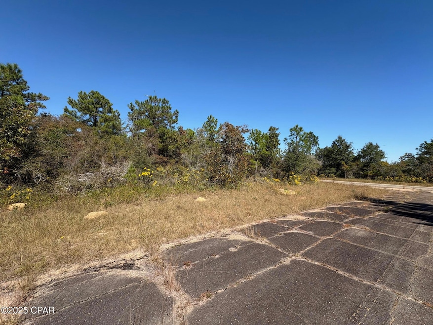 LOT 9 Maywood St, Chipley, FL 32428 - photo 1