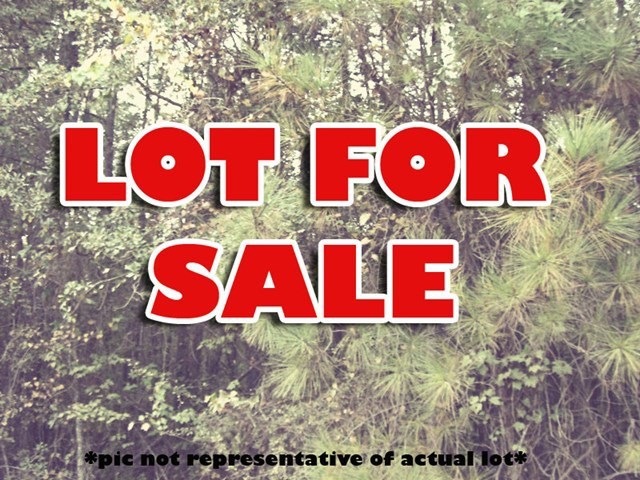 159&163 Old James Rd, Gray, GA 31032 - photo 1