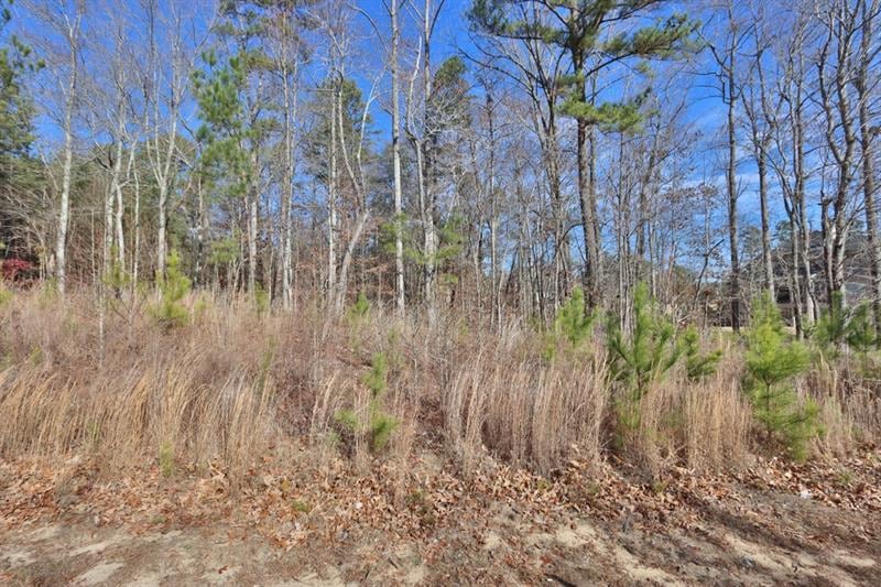 0 Carl Sanders Dr unit 6726336, Acworth, GA 30101 - photo 1