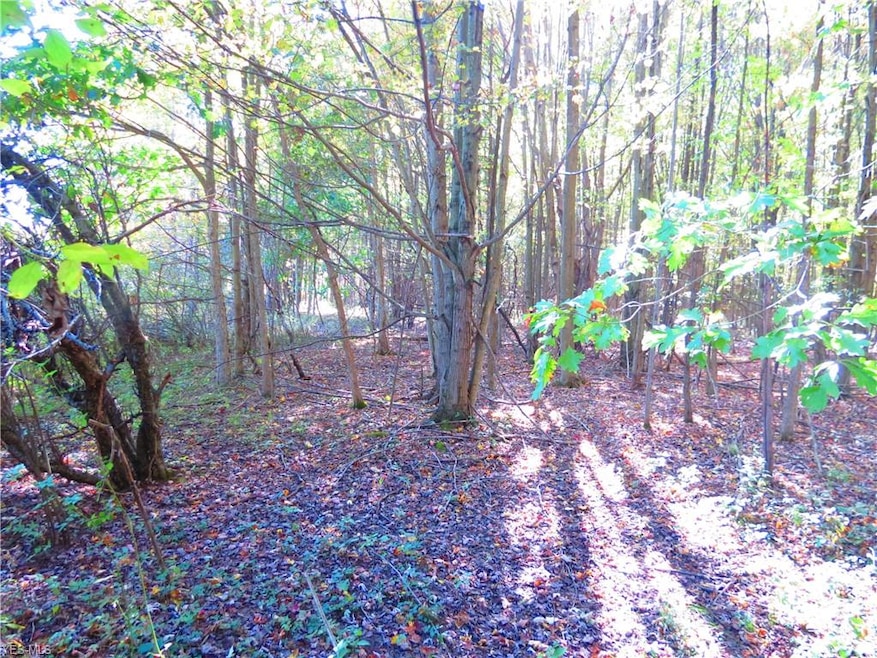 VL Traxler Rd, Dorset, OH 44032 - photo 1