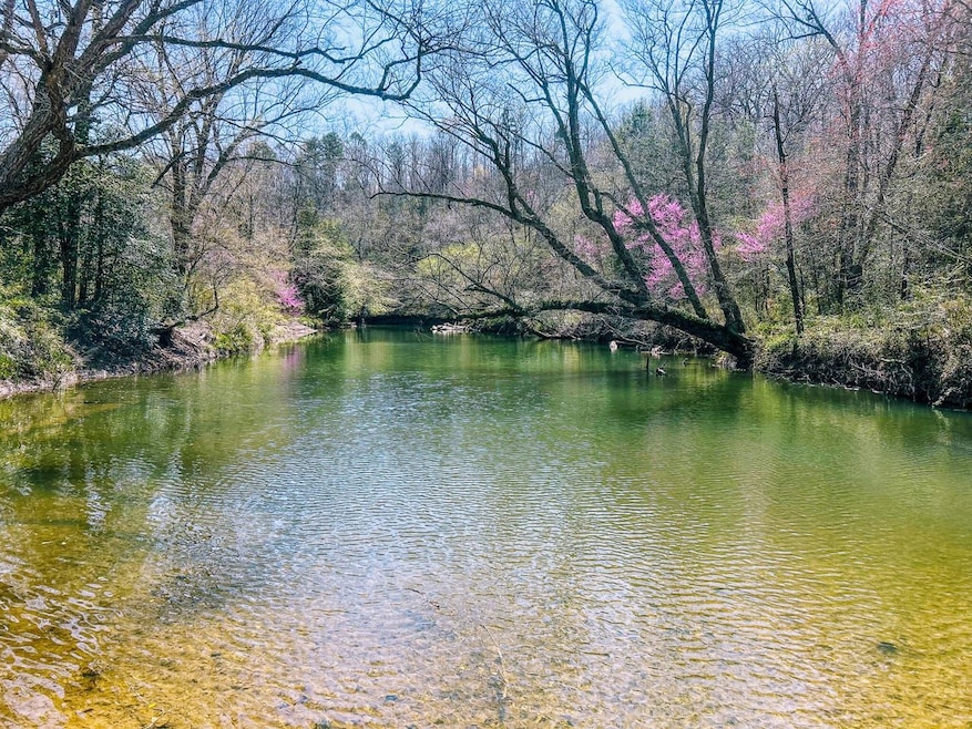 Brushy Ridge Rd, Smithville, OK 74957 - photo 1