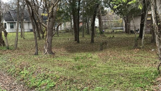 2503 Trout St, Houston, TX 77093 - photo 1