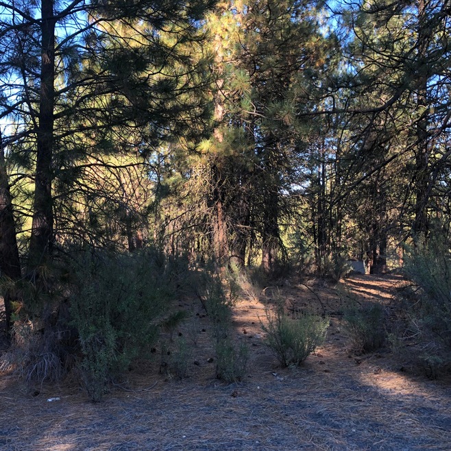 1.04 Acres ~ Williamson River Pines ~
