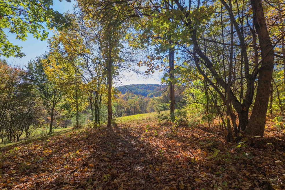0 Newton Ln unit 5045705, Norwich, VT 05055 - photo 1