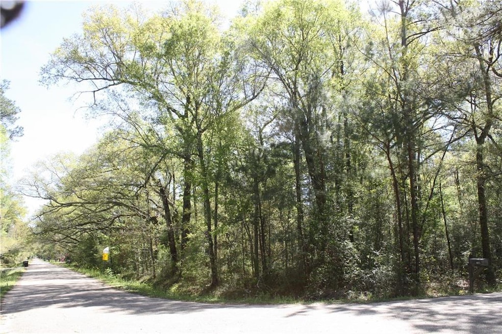 0 Par St unit 2485979, Abita Springs, LA 70420 - photo 1