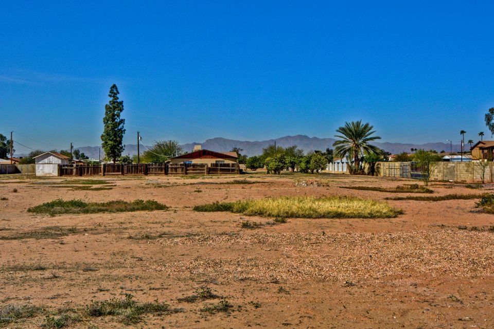 Ocotillo (5)