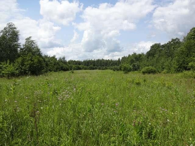 NEAR Hwy 86, Tomahawk, WI 54487 - photo 1