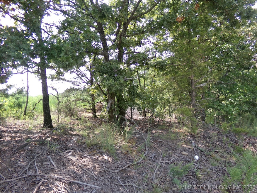 0 N 4230 Rd unit 2532428, Eufaula, OK 74432 - photo 1