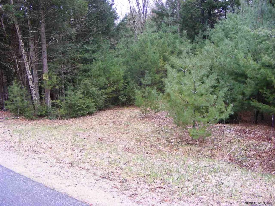 22 Horse Hill Rd, Hadley, NY 12835 - photo 1