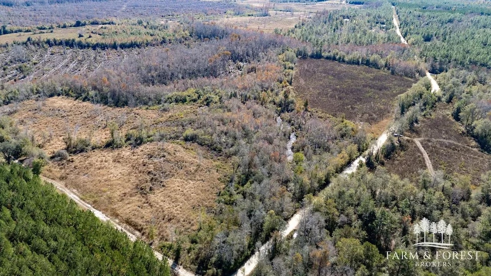 xx1 Seay Rd, Cottondale, FL 32431 - photo 1