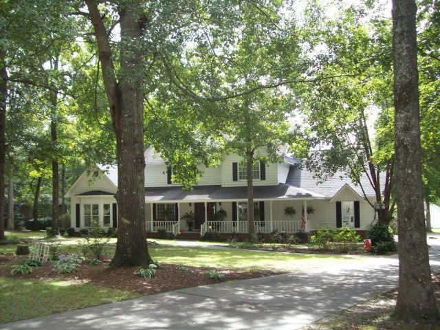 Main View
