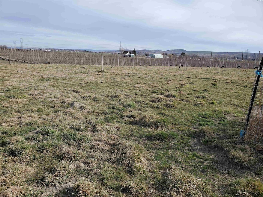 NKN Dekker Rd, Outlook, WA 98938 - photo 1