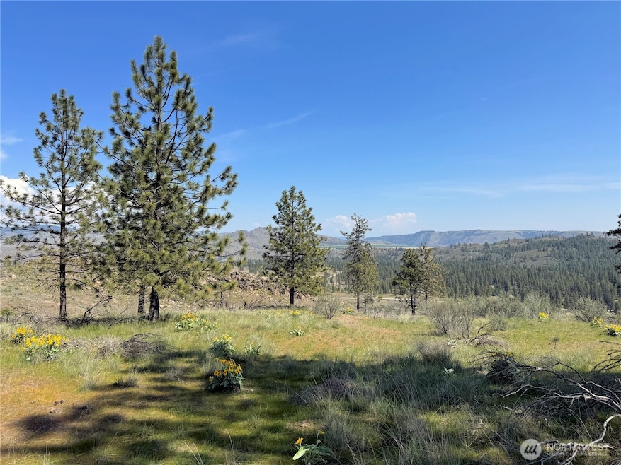 2 Hart Rd N, Davenport, WA 99122 - photo 1