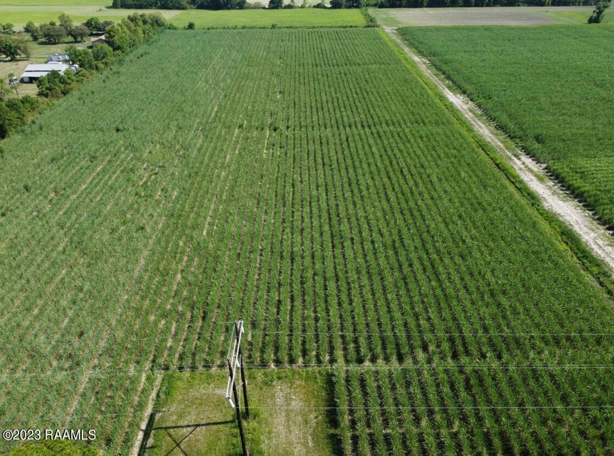 W Menard Rd Land Photo 1