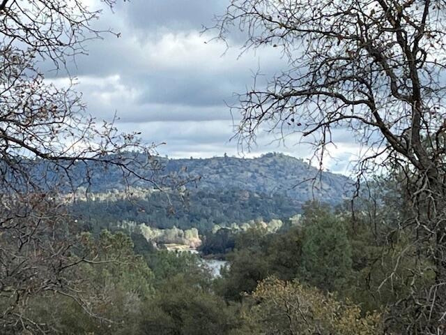 28729 Long Hollow Ct S, Yosemite Lakes, CA 93614 - photo 1