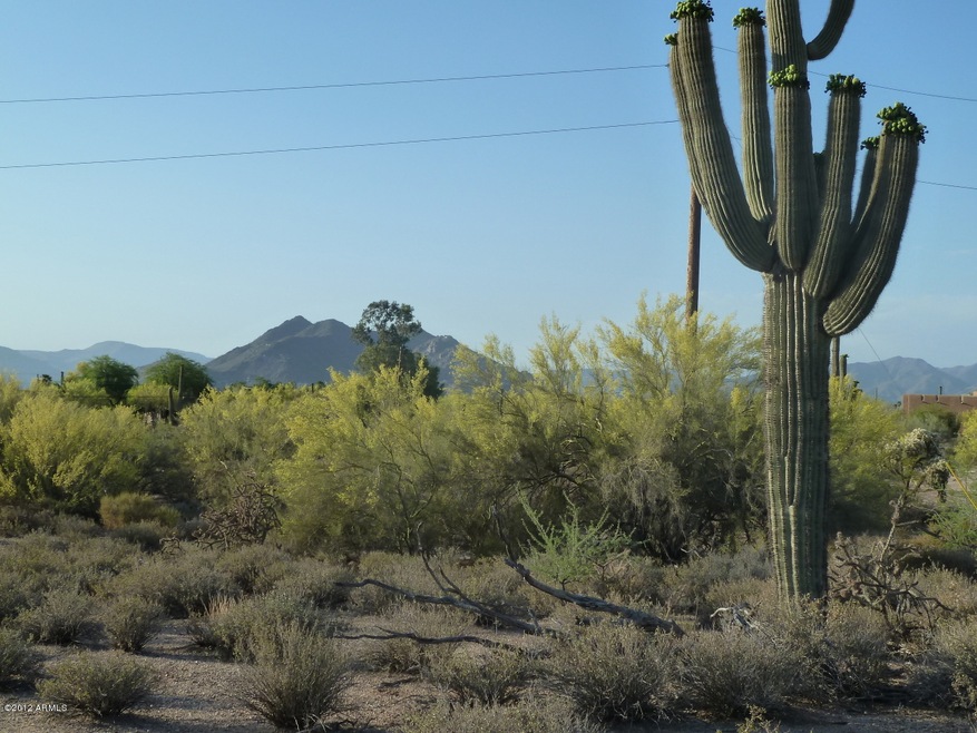 Looking North toward Black Mountain