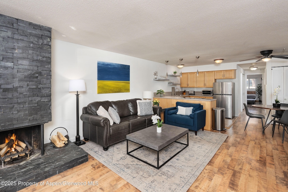 210 E Cooper Ave unit 1C, Aspen, CO 81611 - photo 1