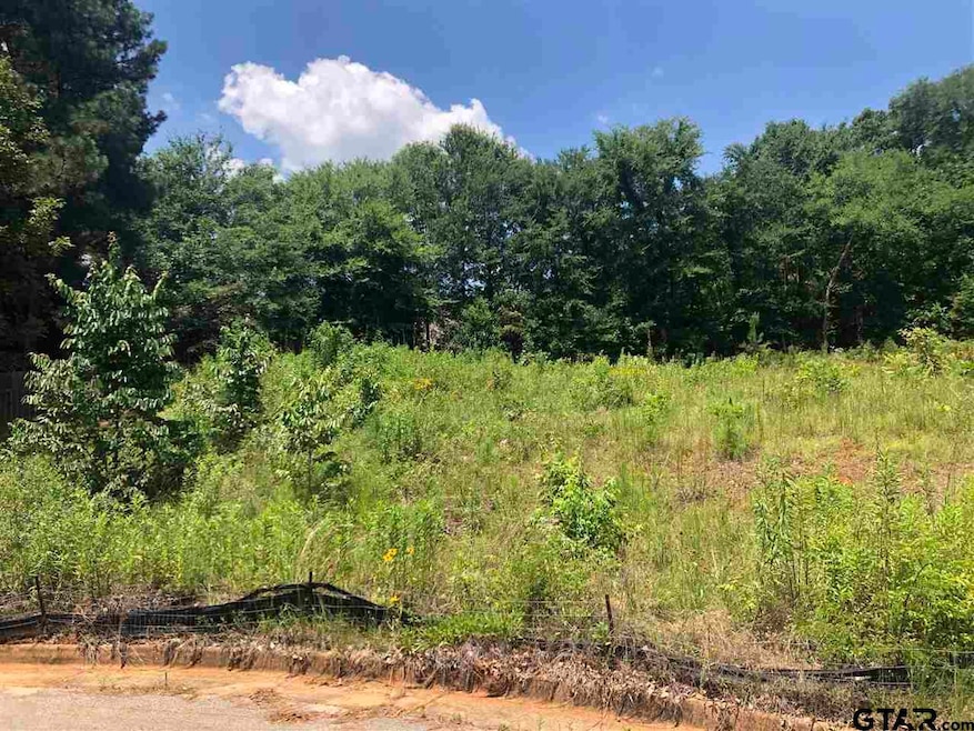 1243 Rainmaker, Tyler, TX 75703 - photo 1