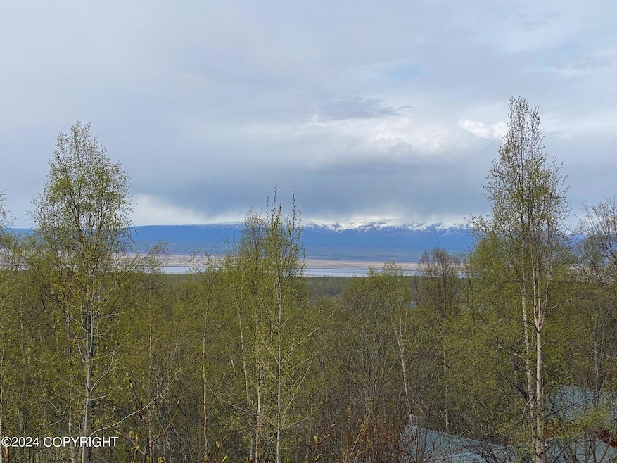 L9 B3 Country View Dr, Anchorage, AK 99567 - photo 1