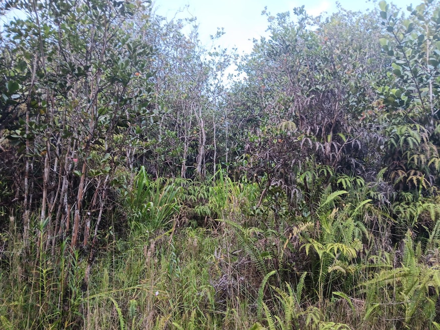 0 Road 3 (Hopue) unit 724022, Mountain View, HI 96771 - photo 1