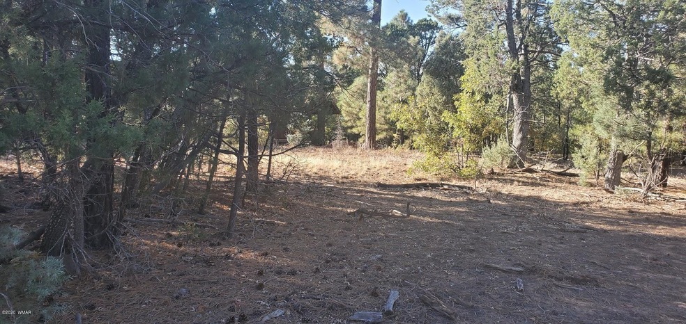 4260 W Falling Leaf Road