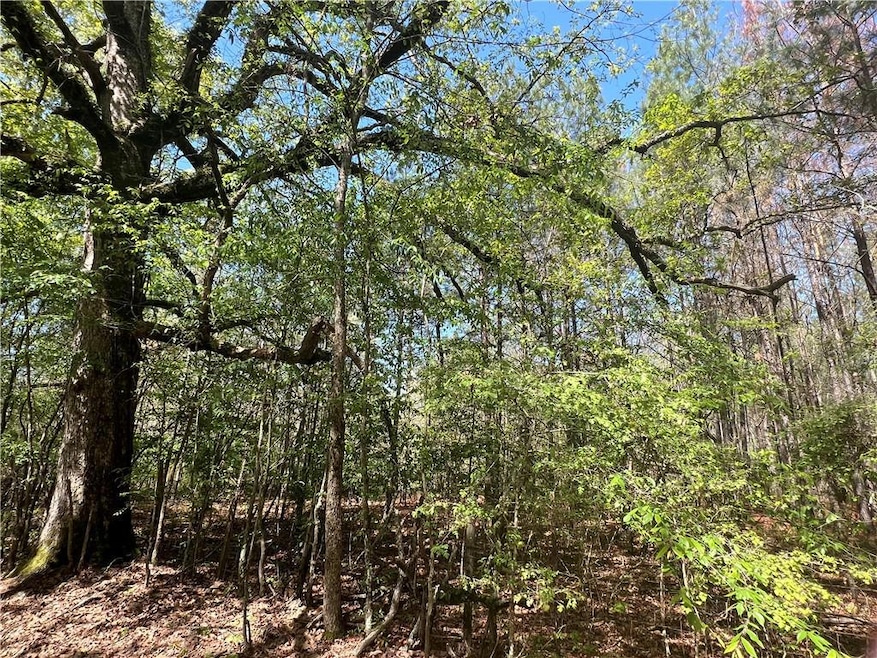 0 Nation Rd, Deville, LA 71328 - photo 1