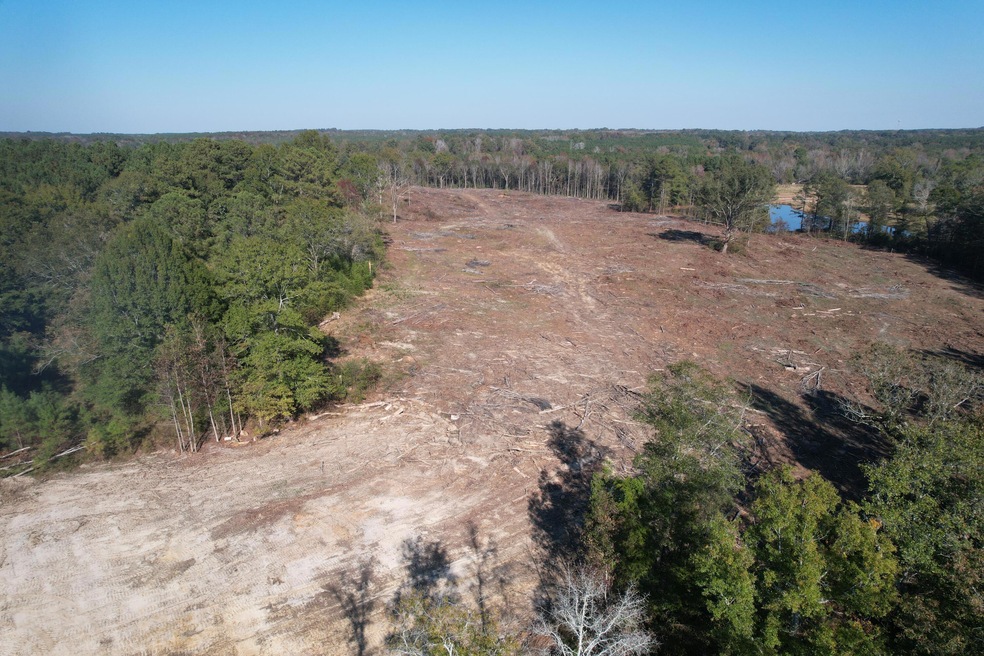 DJI_0466