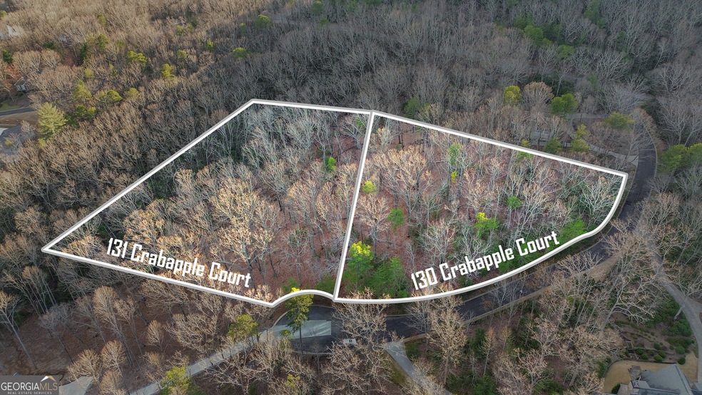 130 & 131 Crabapple Ct unit 130 & 131, Clarkesville, GA 30523 - photo 1
