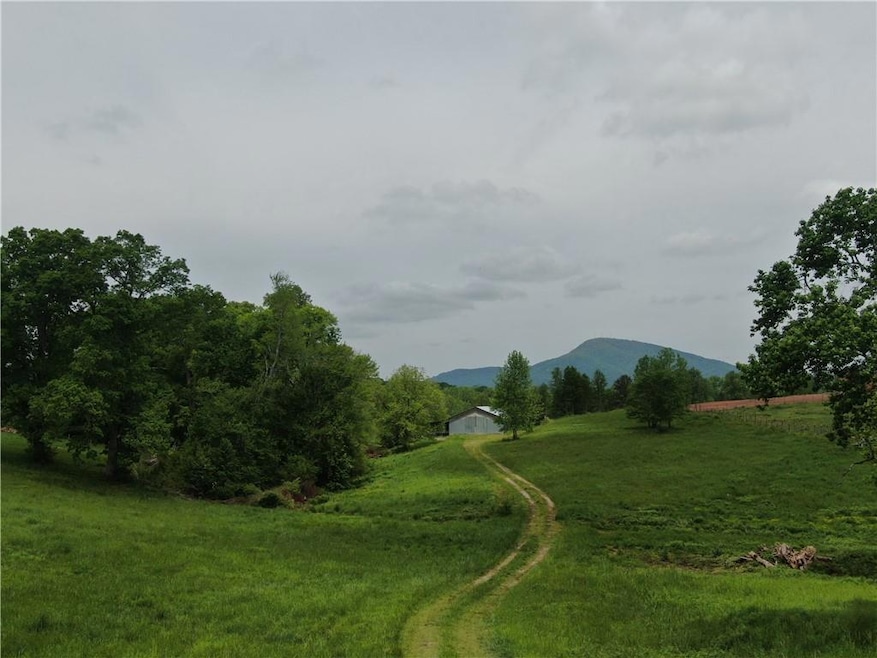 0 Cleveland Hwy unit 7569097, Clermont, GA 30527 - photo 1